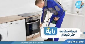 شركة مكافحة حشرات بحائل 1 1