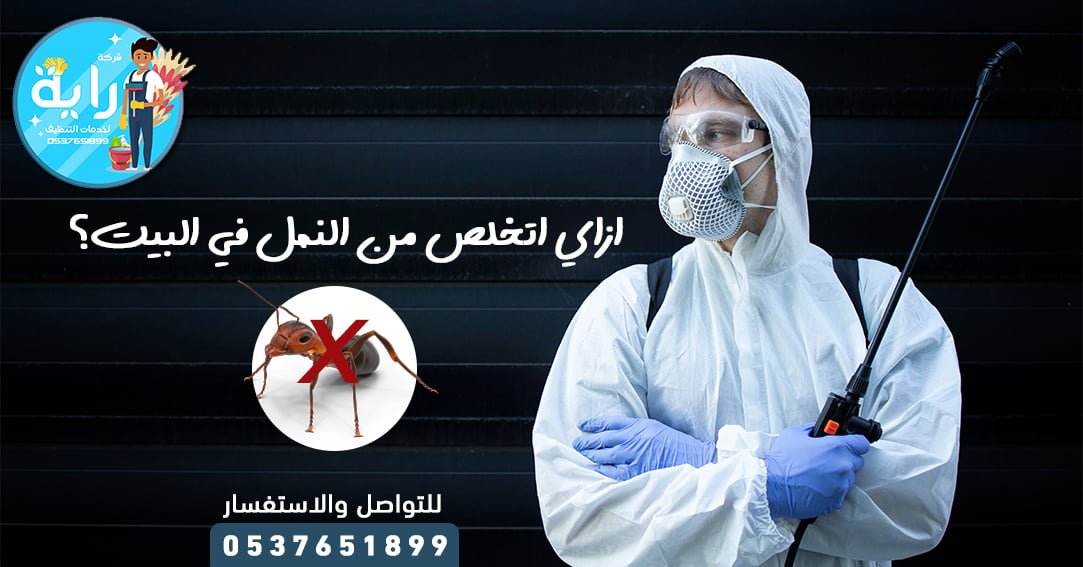 علاج انتشار النمل في المنزل